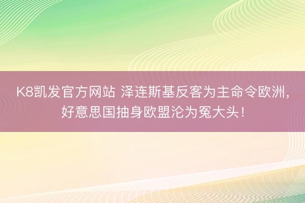 K8凯发官方网站 泽连斯基反客为主命令欧洲，好意思国抽身欧盟沦为冤大头！