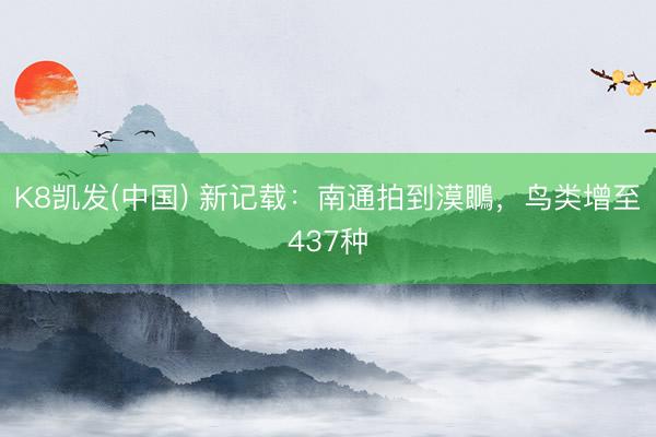 K8凯发(中国) 新记载：南通拍到漠䳭，鸟类增至437种