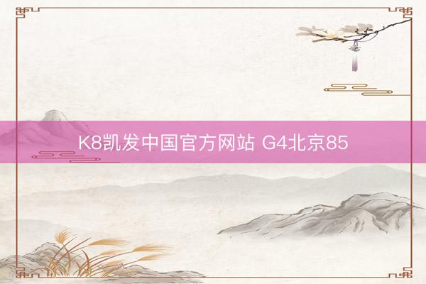 K8凯发中国官方网站 G4北京85