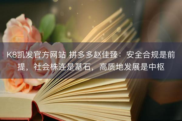K8凯发官方网站 拼多多赵佳臻：安全合规是前提，社会株连是基石，高质地发展是中枢