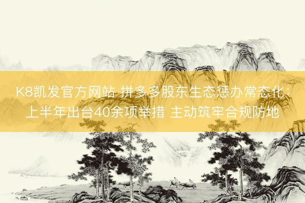 K8凯发官方网站 拼多多股东生态惩办常态化:上半年出台40余项举措 主动筑牢合规防地