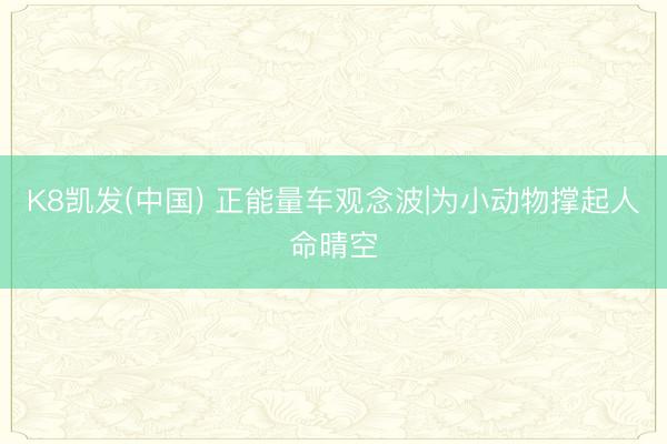 K8凯发(中国) 正能量车观念波|为小动物撑起人命晴空